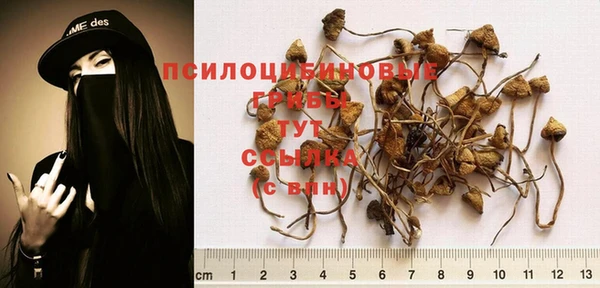 а пвп мука Шали
